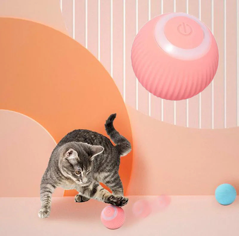 Smart Interactive Pet Ball