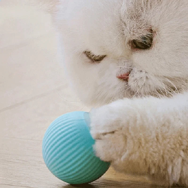 Smart Interactive Pet Ball