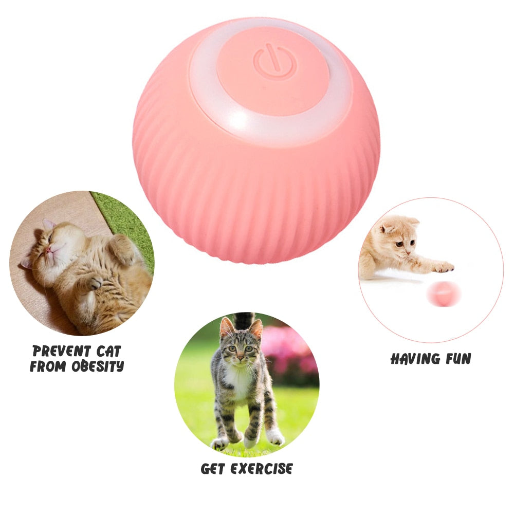 Smart Interactive Pet Ball